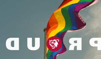 Flag photo with bear logo